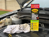Rislone 4720 Fuel, Exhaust & Emissions System Cleaner (Authorized Dealer)
