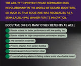 BOOSTane Professional 6 Pack Case 32oz Octane Booster up to 116 Oct (OCT32PRO)