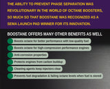 BOOSTane Professional Fuel Additive 32oz Octane Booster up to 116 Oct (OCT32PRO)